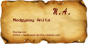 Medgyesy Anita névjegykártya
